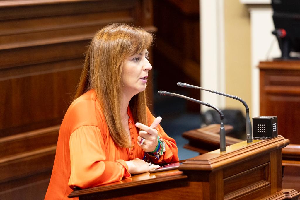Nieves Lady Barreto pide al Parlamento y Cabildo que incluyan en los presupuestos medidas estructurales para La Palma