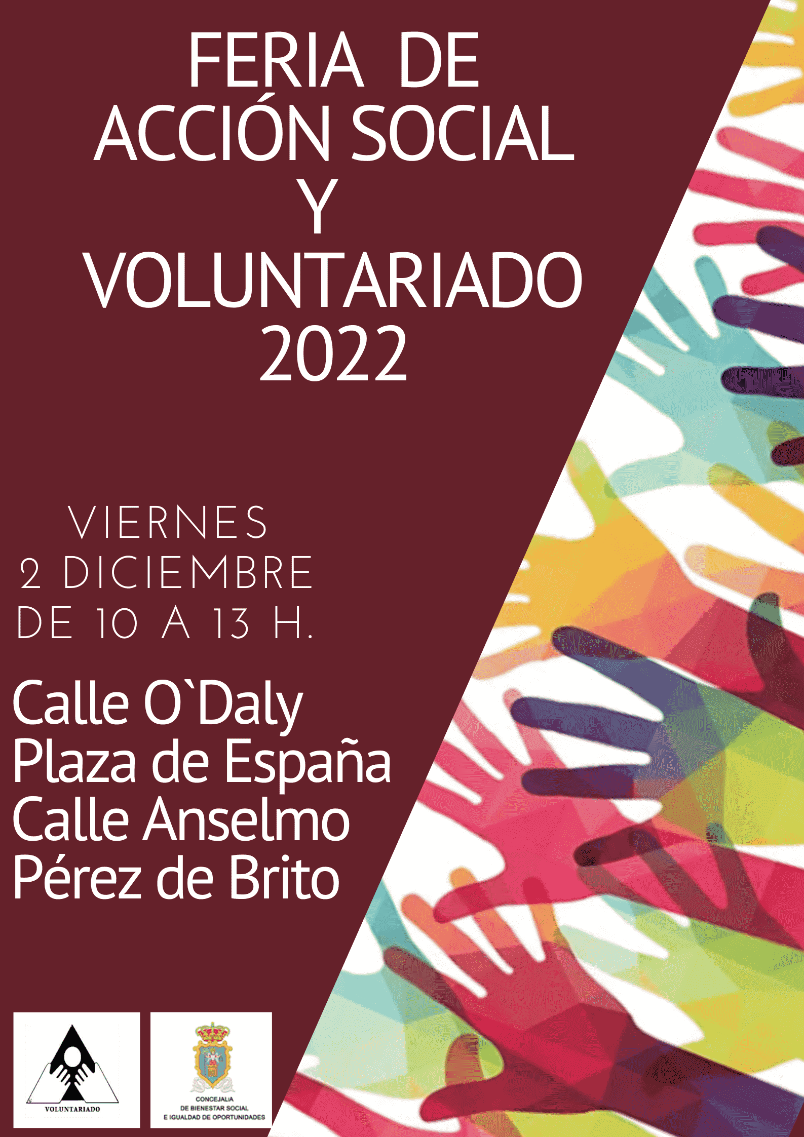Santa Cruz de La Palma acoge la XXIV Feria de Acción Social y Voluntariado 2022