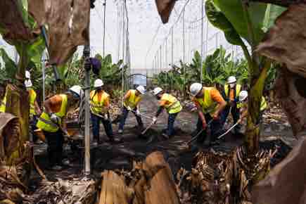 Gesplan retira la ceniza de más de 722 viviendas, 112 parcelas agrícolas y 295 infraestructuras de La Palma