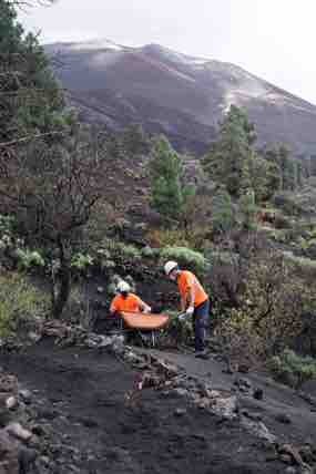 Gesplan retira más de 325.800 metros cúbicos de ceniza en La Palma a través del Plan Extraordinario de Empleo 