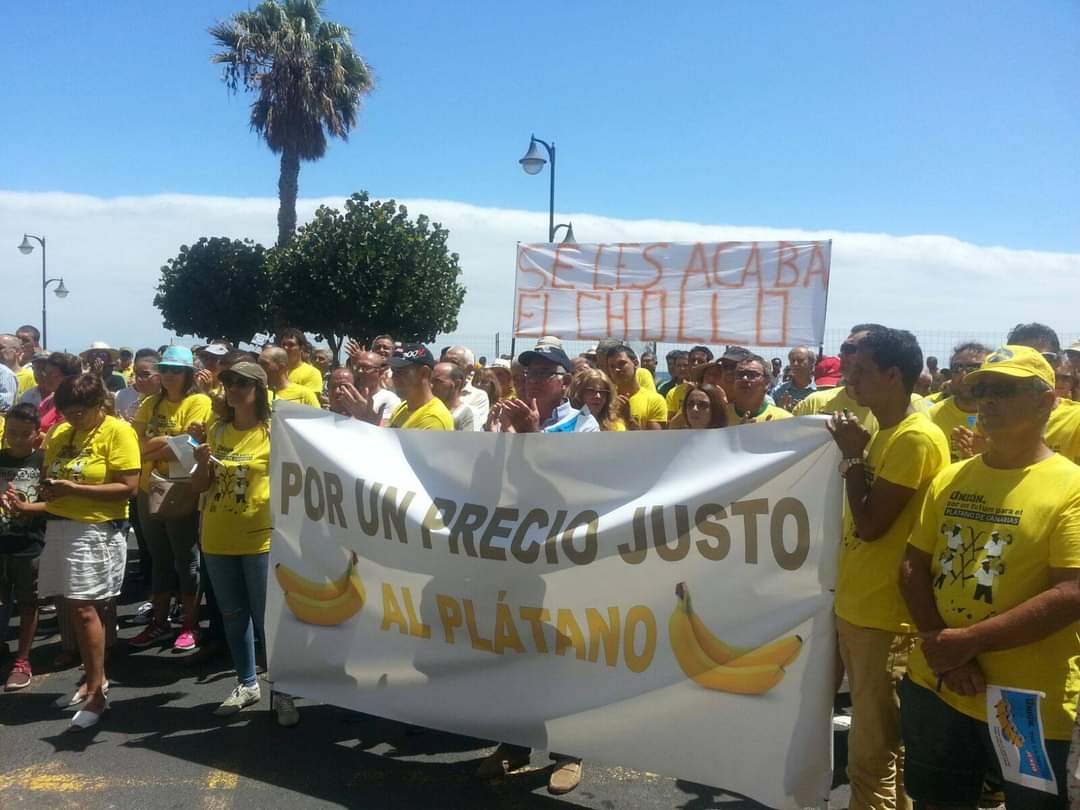 La Plataforma por un Precio Justo del Plátano llama a salir a la calle el día 4 para una nueva marea amarilla contra el abusivo coste del agua y los abonos