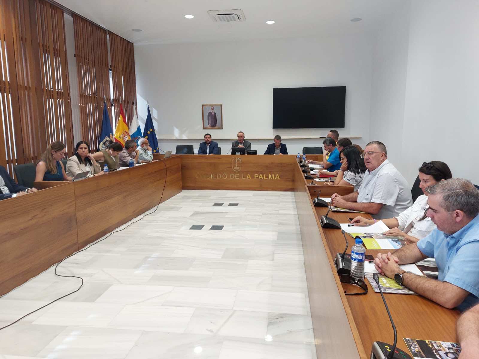 Raúl Camacho defiende en el Consejo Sectorial de Turismo que La Palma continúa creciendo turísticamente