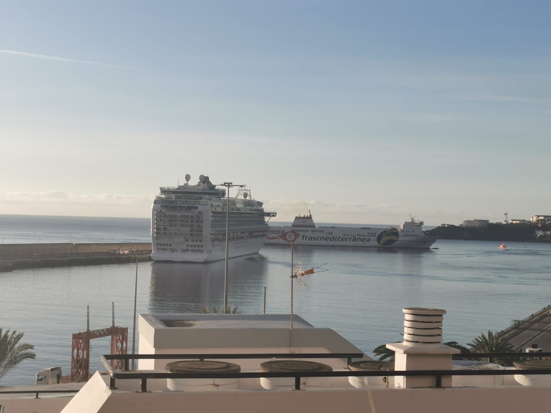 FEDEPALMA muestra su rechazo por la cancelación de la escala del MSC Seaview en el puerto de Santa Cruz de La Palma