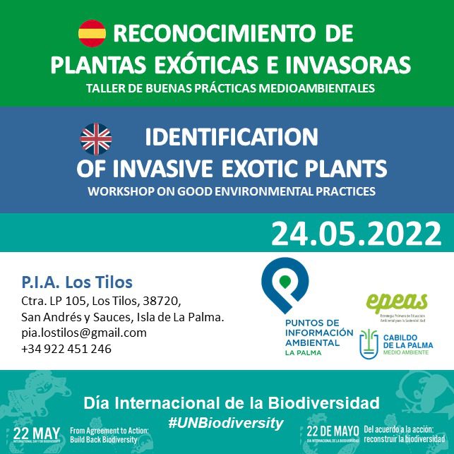El Cabildo celebra el Día del Internacional de la Biodiversidad con una ruta guiada y un taller de buenas prácticas medioambientales