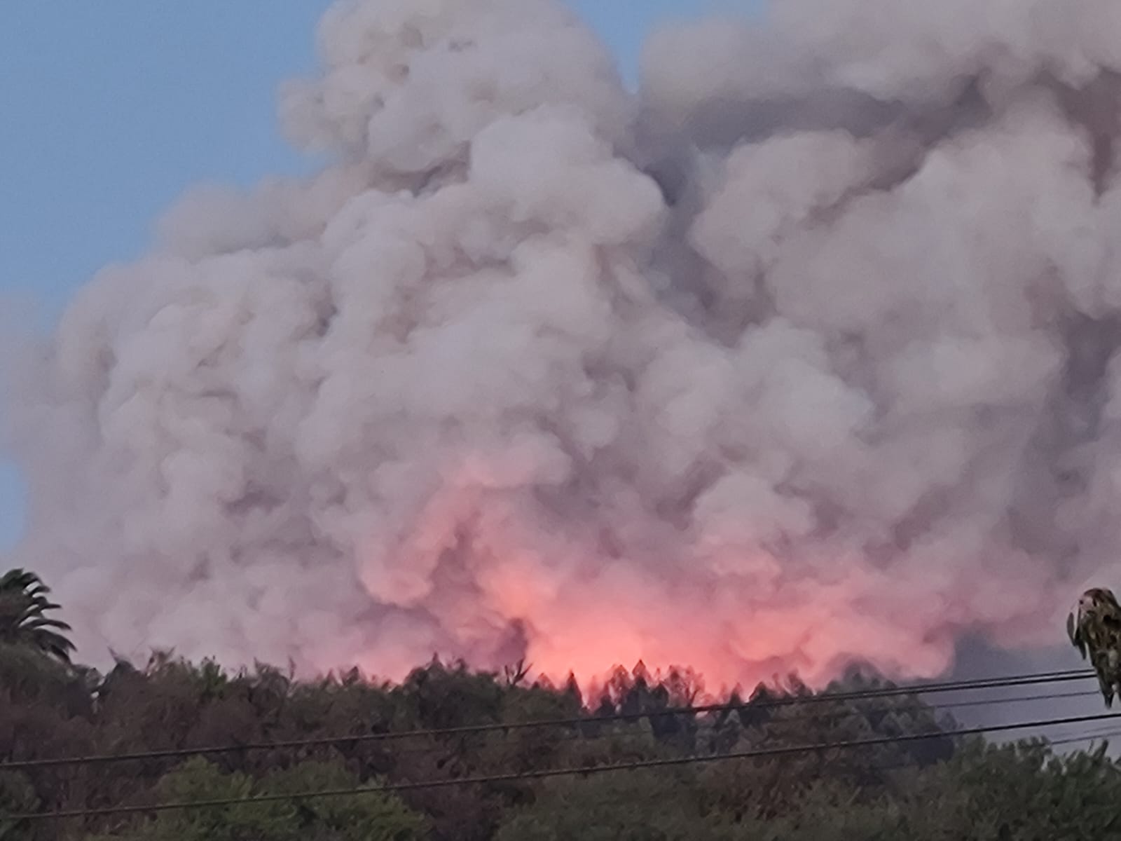 El Gobierno de Canarias pide máxima colaboración ciudadana para las evacuaciones del incendio de La Palma