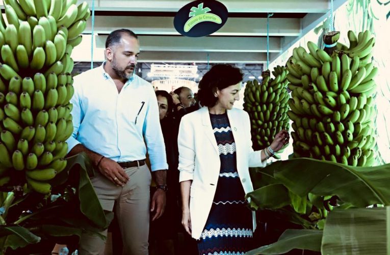Kilian Sánchez respalda al sector agrícola palmero en la feria Fruit Attraction