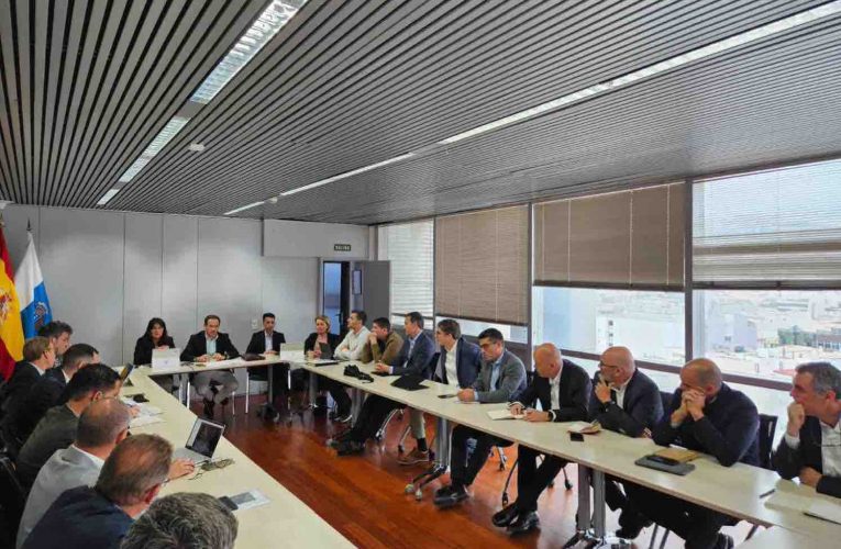 Transición Ecológica lidera la primera Mesa de Energía para buscar alianzas y avanzar en la descarbonización de Canarias