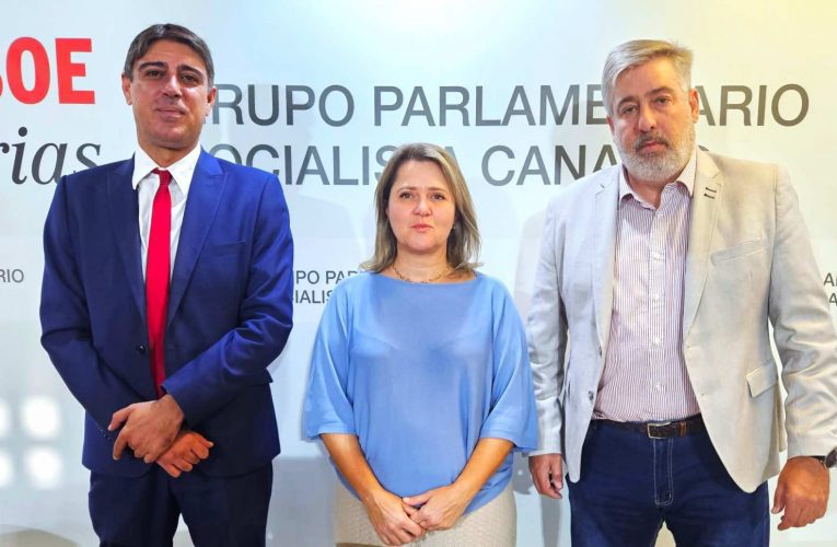 El PSOE exige al Gobierno canario que abone las ayudas directas para compensar las pérdidas de renta por la erupción a los agricultores de La Palma