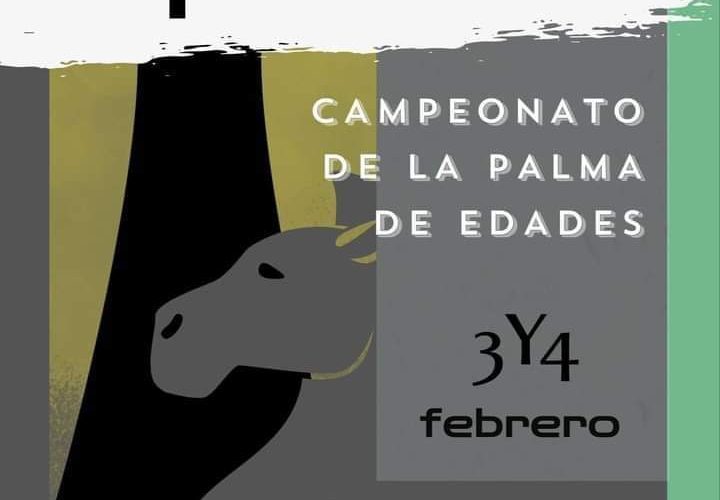 Breña Alta será la sede del Campeonato de La Palma de Ajedrez por edades