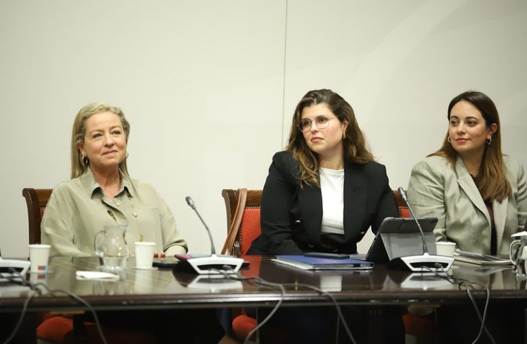 Diana Lorenzo: “El decreto de recuperación de La Palma sienta un precedente y marca el porvenir de la vida de sus habitantes”