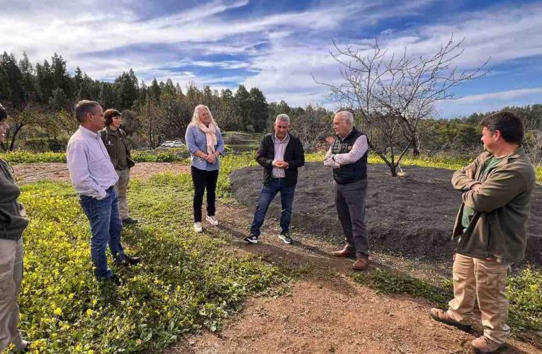 Garafía y Transición Ecológica trabajan en la mejora de los cultivos de almendro del municipio 
