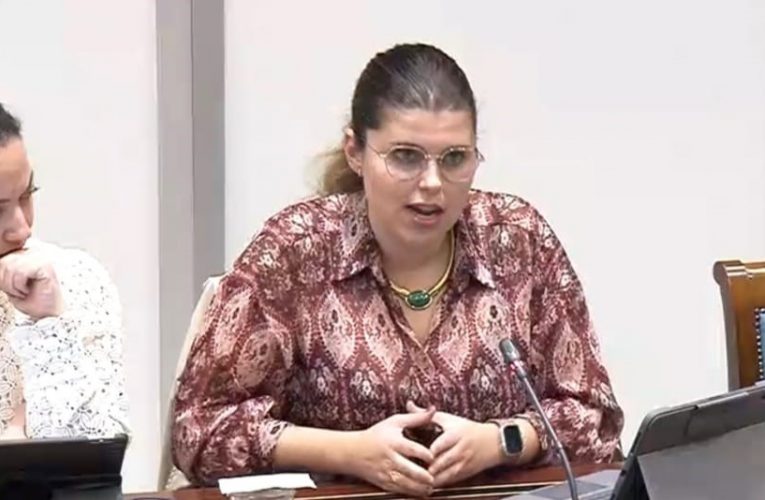 Diana Lorenzo: “Prevenir los incendios en las medianías de La Palma pasa por la implantación de acciones frente a la sobreprotección injustificada”  
