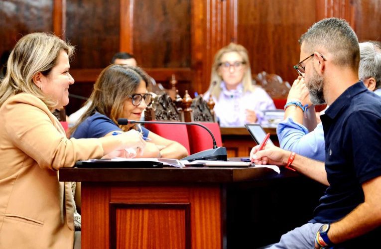 El PSOE alerta de la creciente inseguridad que padece Los Llanos de Aridane ante el mutismo del alcalde