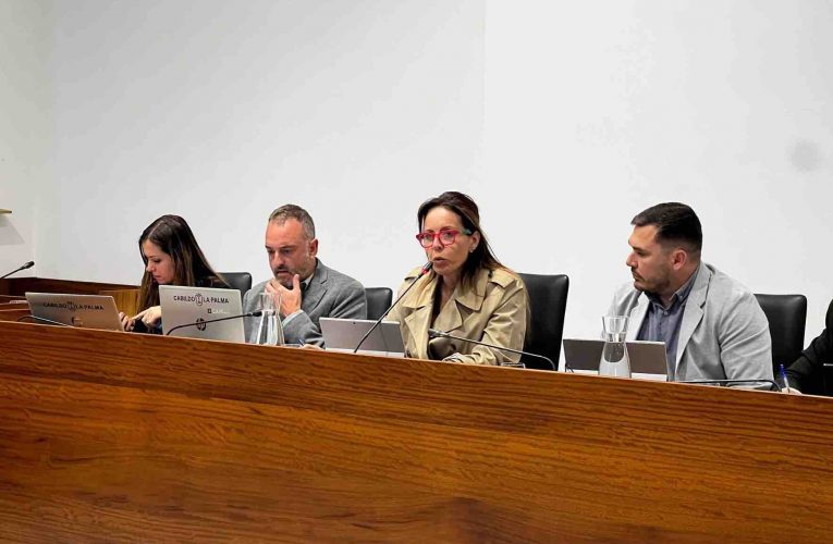 El Cabildo de La Palma destinará 200.000 euros a la adaptación de viviendas para personas con discapacidad y/o dependencia