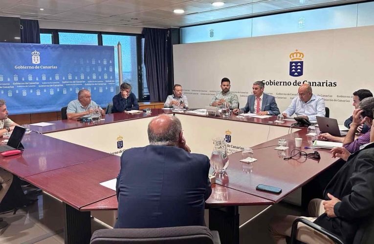 El Gobierno de Canarias y Asprocan acuerdan medidas para asegurar la rentabilidad del sector platanero