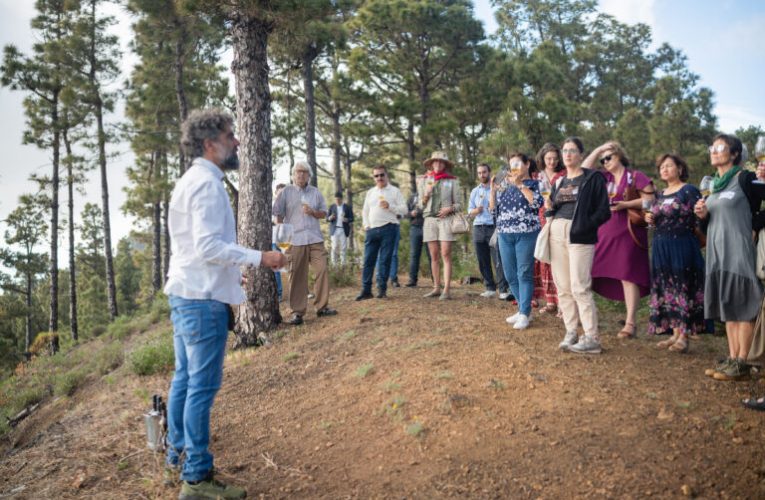 Bodegas Teneguía, en La Palma, reúne a una treintena de pymes y emprendedores en el segundo encuentro ‘Wine & TICS’