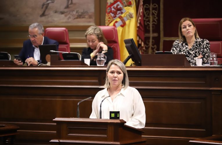 El PSOE exige al Gobierno canario que explique el criterio de reparto de las ayudas ante el descontento generado entre los agricultores del Valle de Aridane
