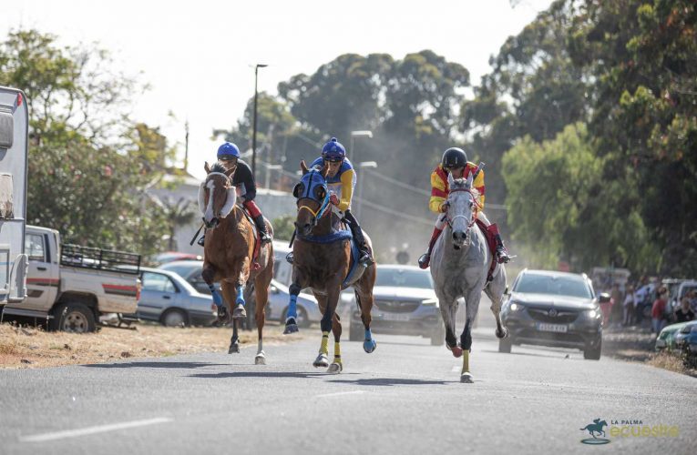 La Palma Ecuestre inicia su octava edición con el consenso de Cabildo, cuadras y jinetes en la promoción de las carreras de caballos en la Isla