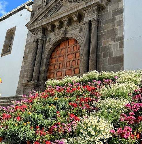 Santa Cruz de La Palma se viste de flores con la cuarta edición de Civitatem Decorare 