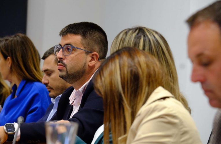 El PSOE traslada al Cabildo el atropello del Gobierno de Canarias a los agricultores afectados por el volcán