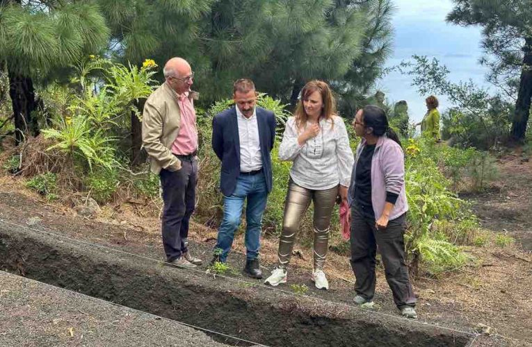 Nieves Lady Barreto cierra un acuerdo con el ministro Torres para abordar la excavación completa del entorno del Pino del Consuelo