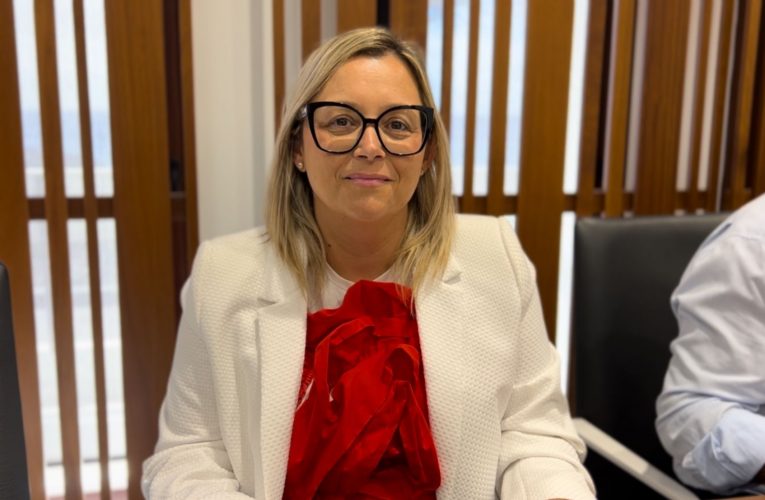 El Grupo Popular solicita mayor compromiso con los agricultores de oliva en La Palma