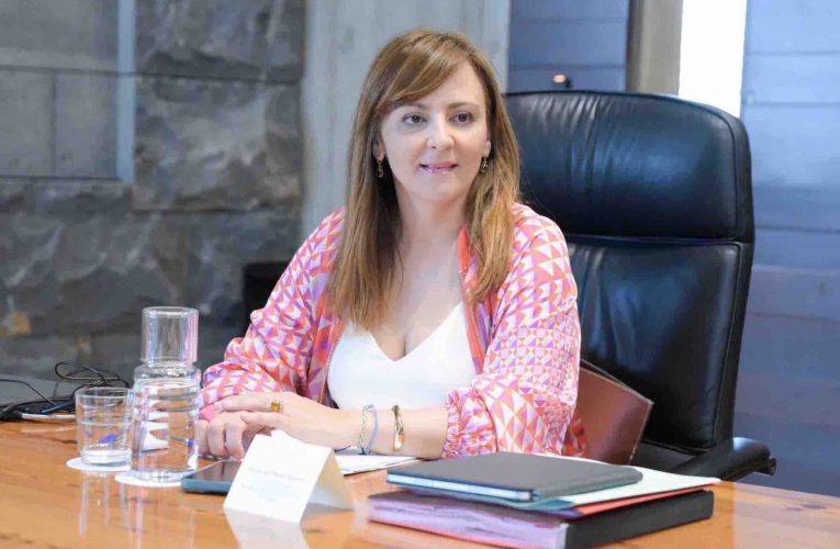 Nieves Lady Barreto “Ayudamos al Cabildo y a los ayuntamientos a construir vivienda pública convirtiendo a Visocan en un medio propio”