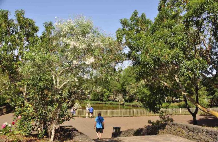 Barlovento acometerá mejoras en el Parque Recreativo de La Laguna por un importe superior a 400.000€