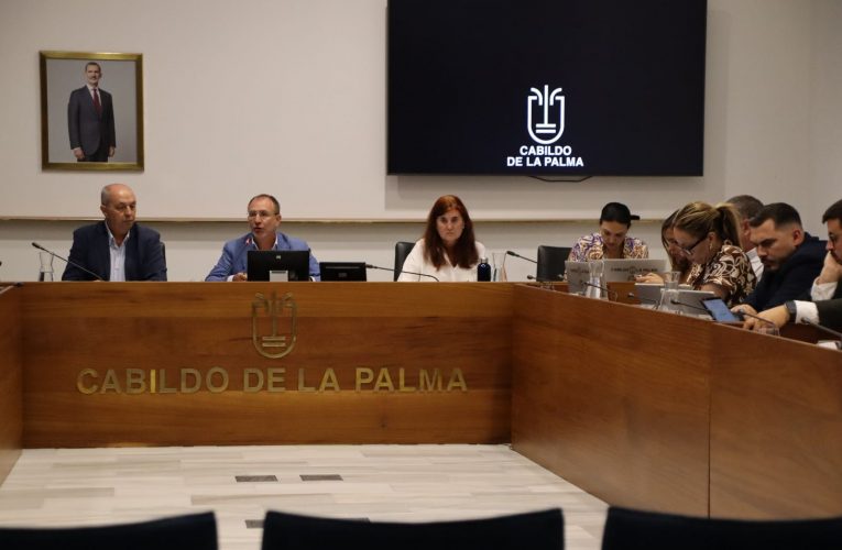 El Cabildo defiende un servicio óptimo y eficiente en la  atención domiciliaria a personas dependientes