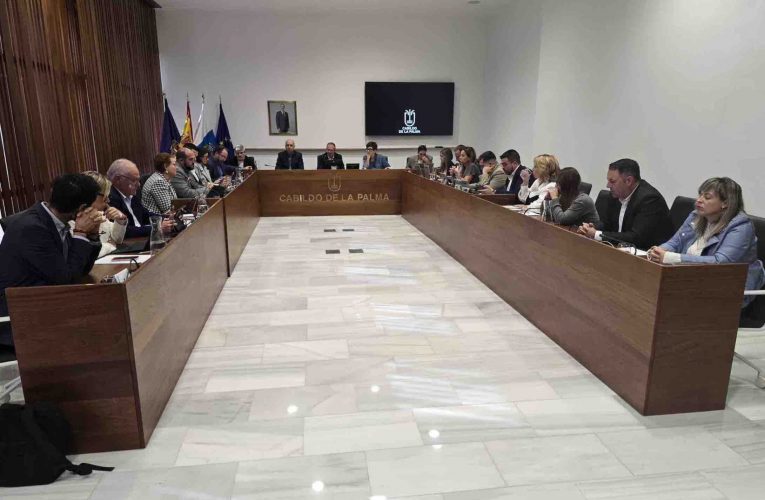 El Cabildo aprueba por unanimidad la propuesta de nombrar una calle en memoria de Laura González Lorenzo