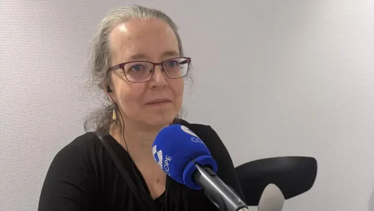 De Los Sauces a Nuuk: la palmera que cambió el Atlántico por el Ártico