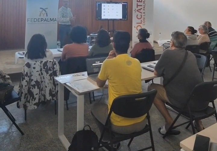 FEDEPALMA llena sus talleres de facturación electrónica ante el interés de autónomos y pequeñas empresas